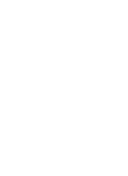 SK Meching